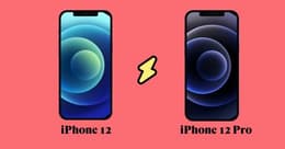 iphone 12 versus 12 pro